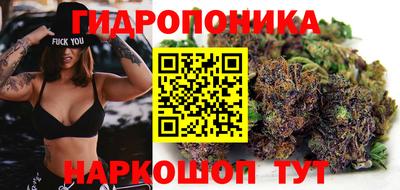 jwh Ижевск