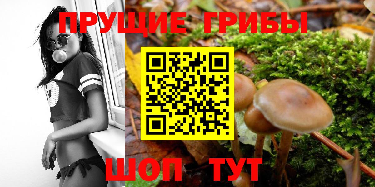 Псилоцибиновые грибы GOLDEN TEACHER Муравленко