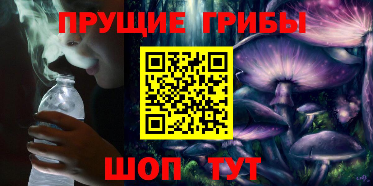Муравленко  Галлюциногенные грибы Psilocybe  Вход с VPN 