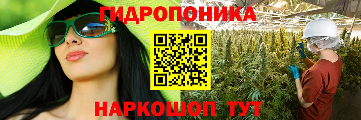Муравленко  Бошки марихуана семена  Бошки Шишки семена  Каннабис OG Kush  МАРИХУАНА конопля  Вход с VPN 